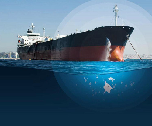 Agency of BWMS manufactured by Blue Ocean Shield.